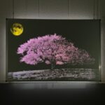 弊社のパンチングメタル技術で制作された、夜空の満月と満開の桜を描いたアート作品。作品は額装され、ライティングで照らされている。